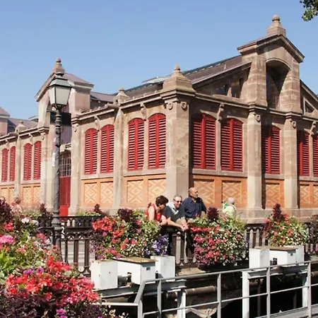 Apartment Historic Center - Belle Alsace - 3 - Bookingalsace Colmar
